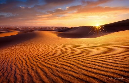 A camel caravan walking across towering orange sand dunes in the Sahara desert