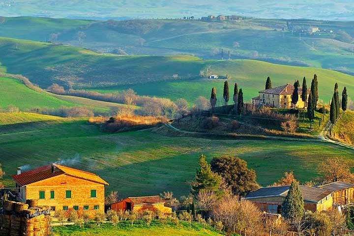 Rolling hills covered in vineyards and cypress trees under an Italian sun